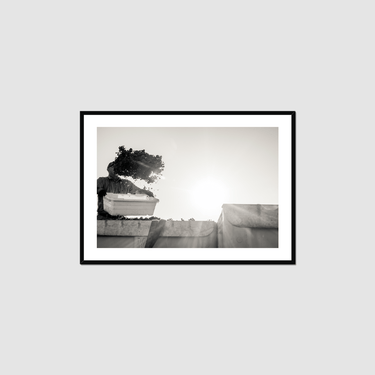 In Flight Framed Print